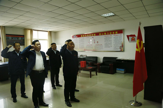洛阳博天堂918传热节能公司党委及下属党支部换届选举顺利实现